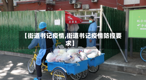 【街道书记疫情,街道书记疫情防控要求】