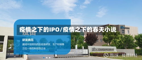 疫情之下的IPO/疫情之下的春天小说