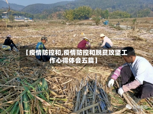 【疫情防控和,疫情防控和脱贫攻坚工作心得体会五篇】-第2张图片