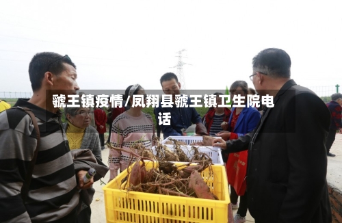 虢王镇疫情/凤翔县虢王镇卫生院电话