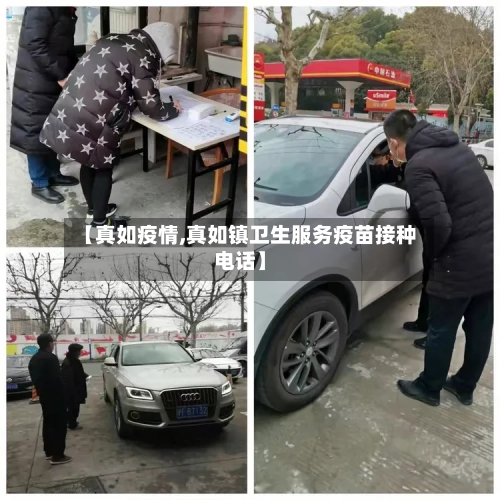 【真如疫情,真如镇卫生服务疫苗接种电话】
