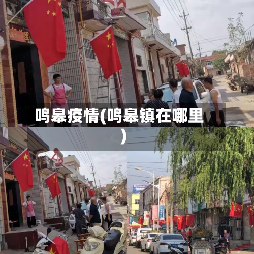 鸣皋疫情(鸣皋镇在哪里)-第2张图片