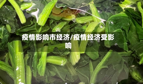 疫情影响市经济/疫情经济受影响-第2张图片