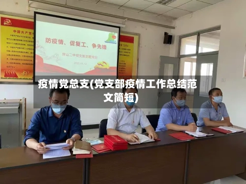 疫情党总支(党支部疫情工作总结范文简短)