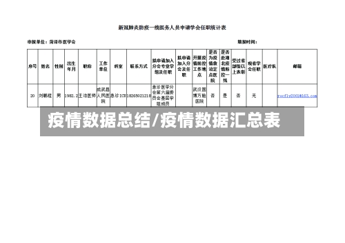 疫情数据总结/疫情数据汇总表