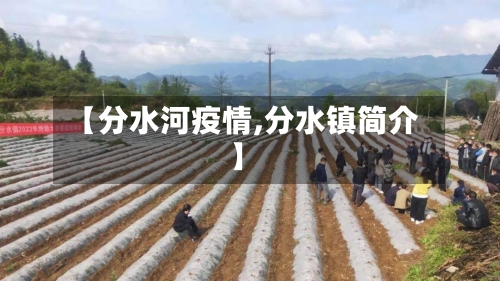 【分水河疫情,分水镇简介】