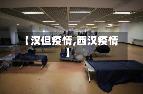 【汉但疫情,西汉疫情】